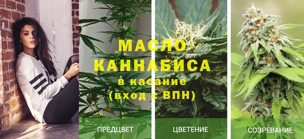 шишки Беслан