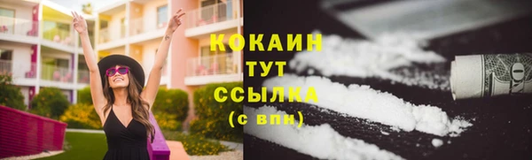 трава Надым