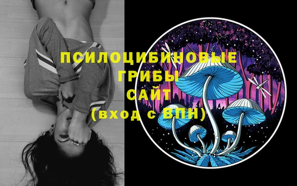 шишки Беслан