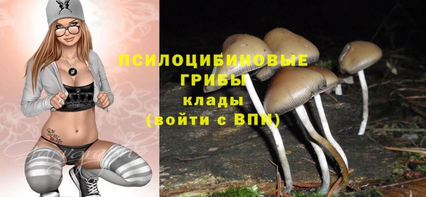 mdpv Навашино
