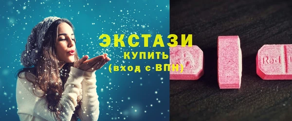 ECSTASY Бикин