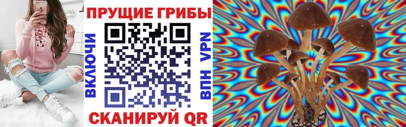 ссылка на мегу как зайти  Кыштым  Псилоцибиновые грибы MAGIC MUSHROOMS 