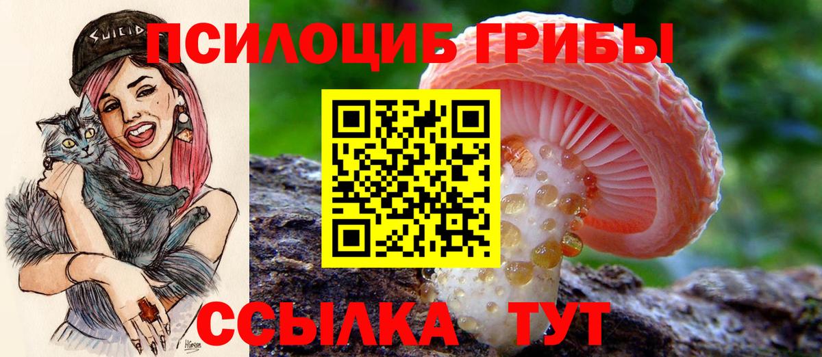 Псилоцибиновые грибы мицелий Кыштым