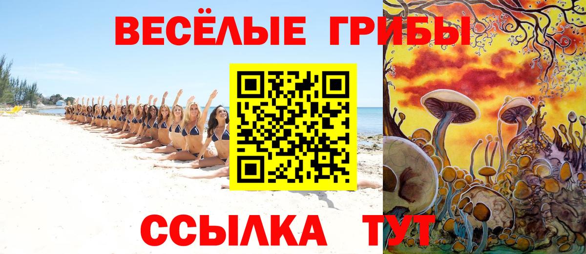 Меф мяу мяу Кыштым