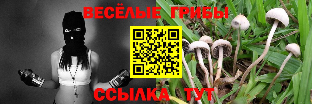 Cocaine  Кыштым  Вход с VPN  Хэш  Мяу-Мяу  Канабис 