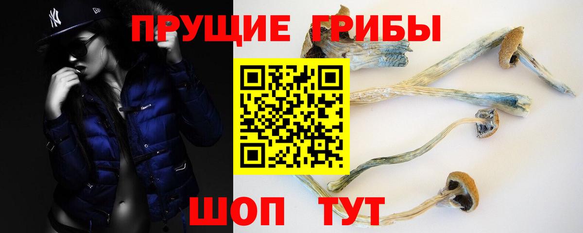 Галлюциногенные грибы MAGIC MUSHROOMS  Псилоцибиновые грибы мухоморы  Вход с VPN  Кыштым 